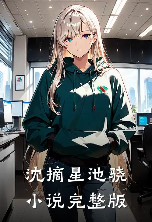沈摘星池骁小说完整版