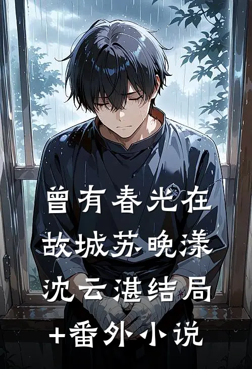 曾有春光在故城苏晚漾沈云湛结局+番外小说