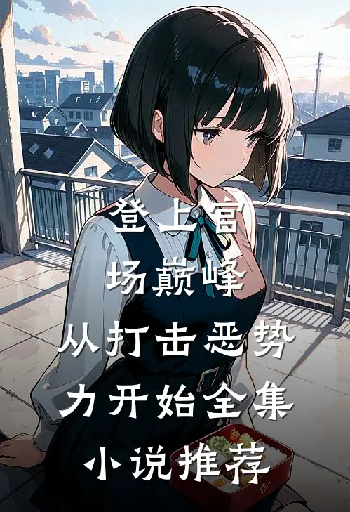 登上官场巅峰，从打击恶势力开始全集小说推荐