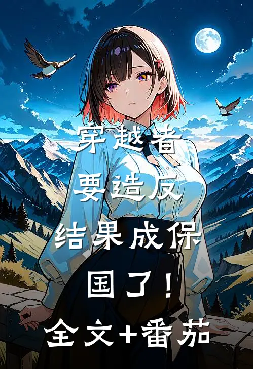 穿越者要造反，结果成保国了！全文+番茄