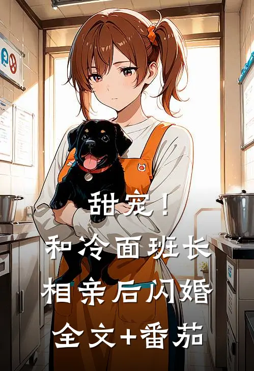 甜宠！和冷面班长相亲后闪婚全文+番茄