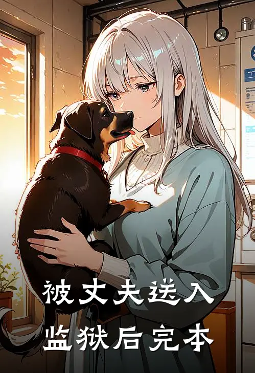 被丈夫送入监狱后完本