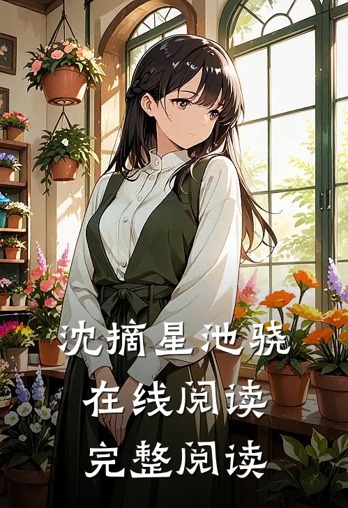 沈摘星池骁在线阅读完整阅读