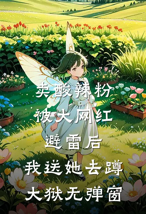 卖酸辣粉被大网红避雷后，我送她去蹲大狱无弹窗