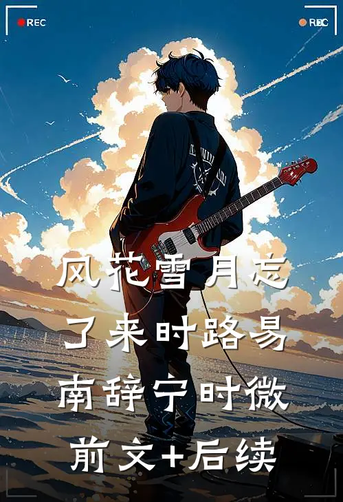 风花雪月忘了来时路易南辞宁时微前文+后续