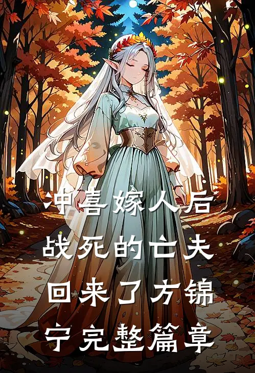 冲喜嫁人后,战死的亡夫回来了方锦宁完整篇章