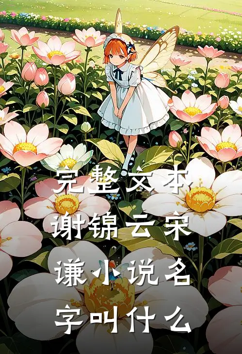 完整文本谢锦云宋谦小说名字叫什么