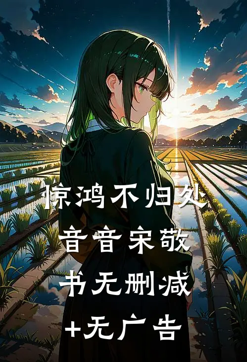 惊鸿不归处音音宋敬书无删减+无广告