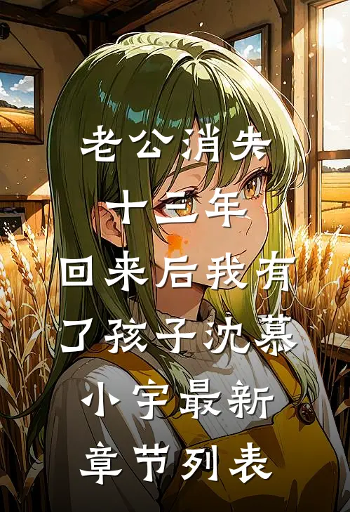 老公消失十三年，回来后我有了孩子沈慕小宇最新章节列表