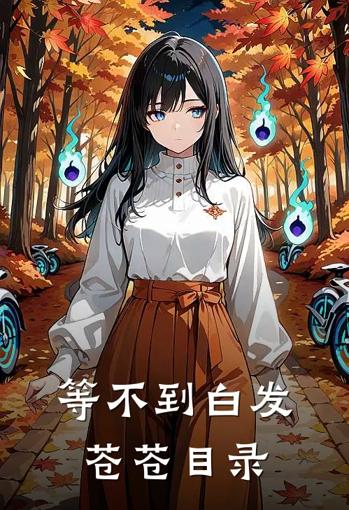 等不到白发苍苍目录
