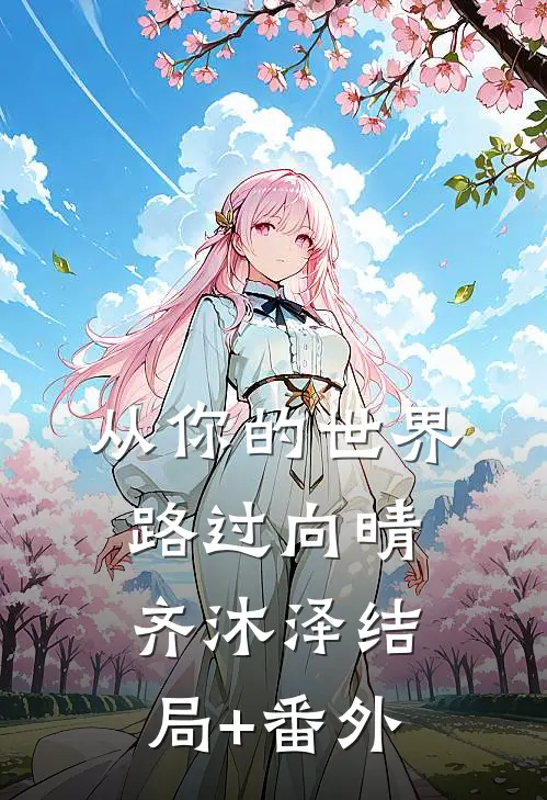 从你的世界路过向晴齐沐泽结局+番外
