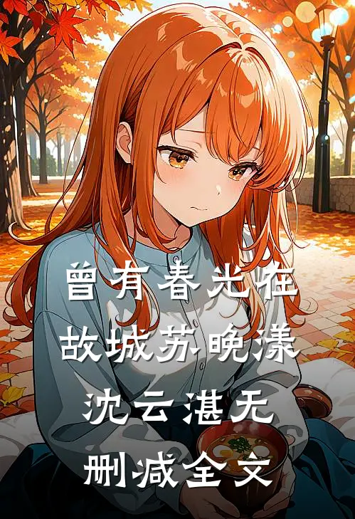 曾有春光在故城苏晚漾沈云湛无删减全文