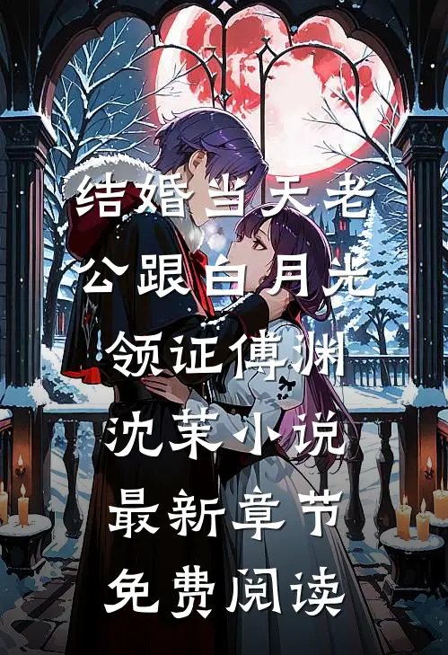 结婚当天老公跟白月光领证傅渊沈茉小说最新章节免费阅读