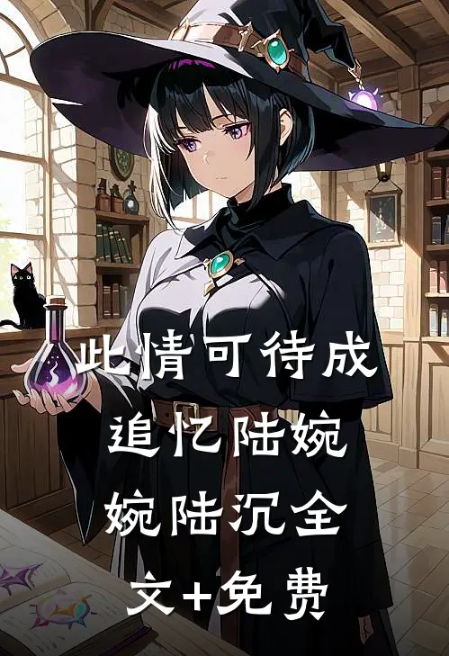 此情可待成追忆陆婉婉陆沉全文+免费