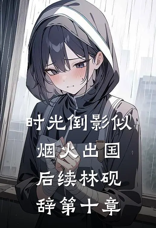 时光倒影似烟火出国后续林砚辞第十章