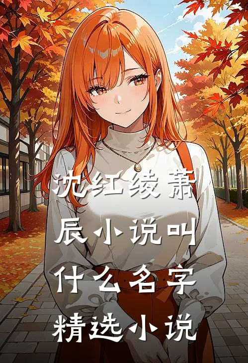 沈红绫萧辰小说叫什么名字精选小说