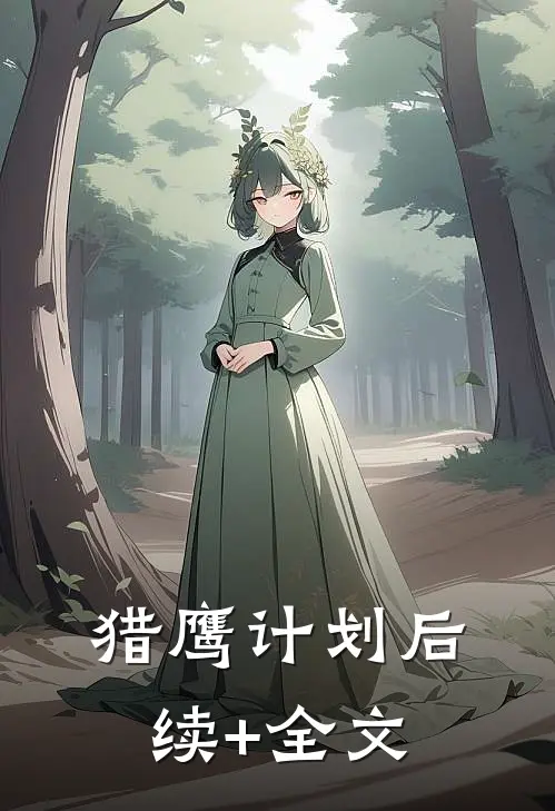 猎鹰计划后续+全文