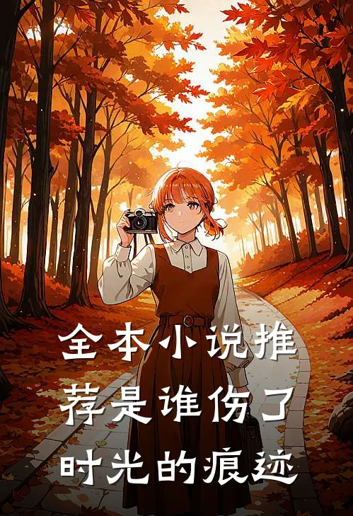 全本小说推荐是谁伤了时光的痕迹