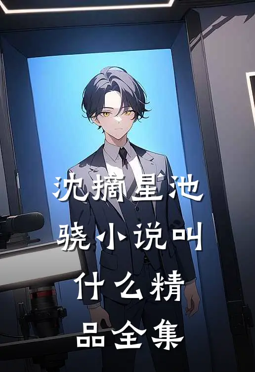 沈摘星池骁小说叫什么精品全集