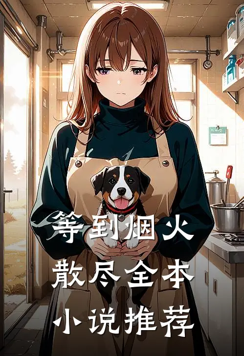 等到烟火散尽全本小说推荐