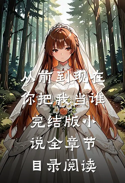 从前到现在，你把我当谁完结版小说全章节目录阅读