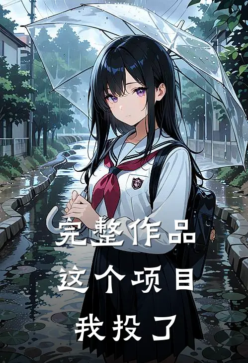 完整作品这个项目我投了