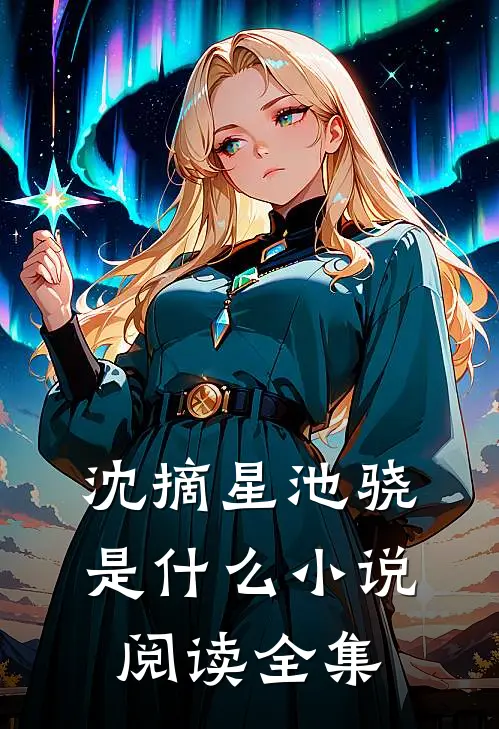 沈摘星池骁是什么小说阅读全集
