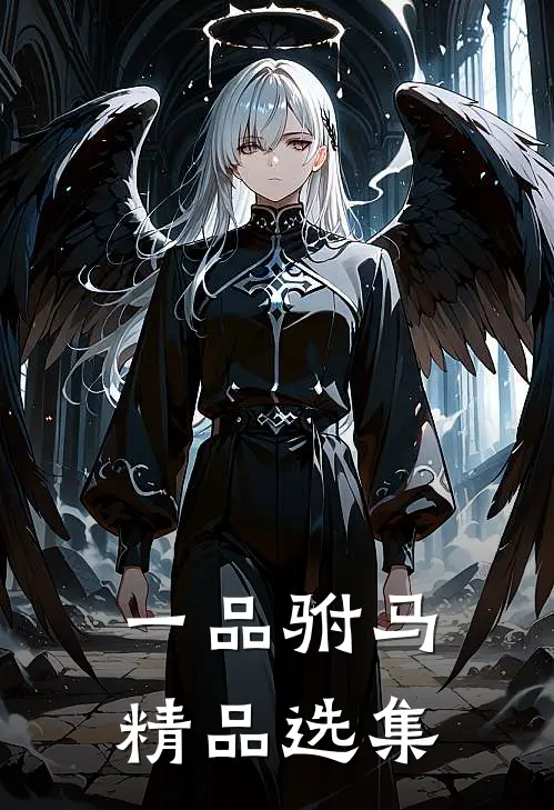一品驸马精品选集