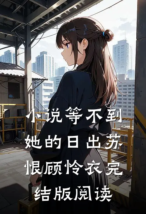 小说等不到她的日出苏恨顾怜衣完结版阅读