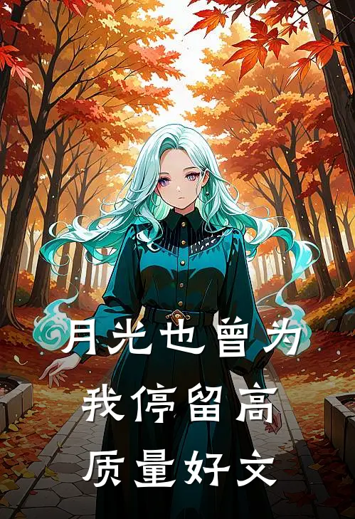 月光也曾为我停留高质量好文