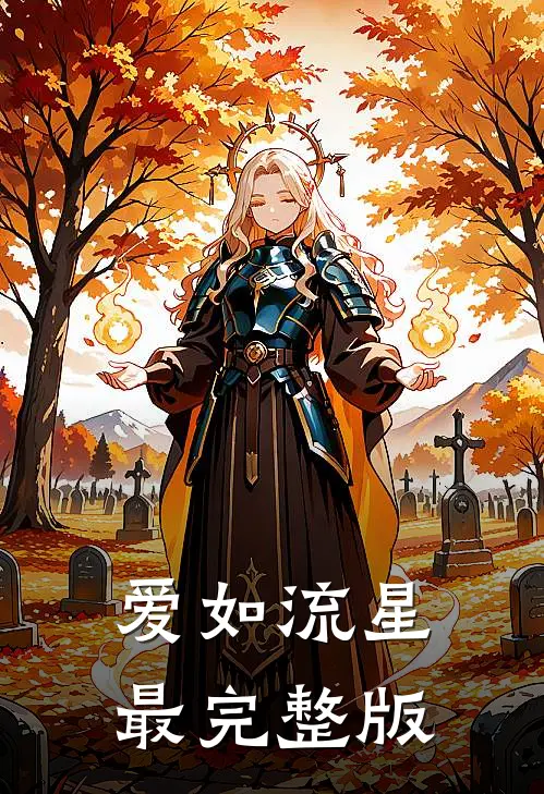 爱如流星最完整版