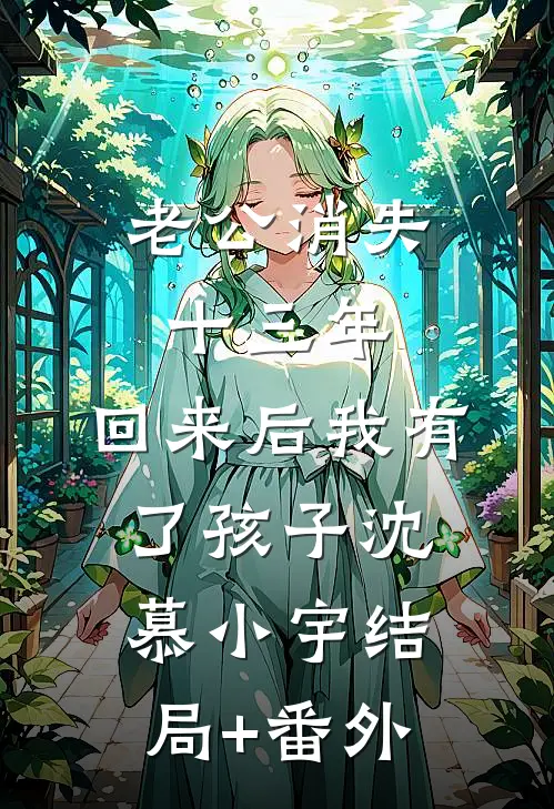 老公消失十三年，回来后我有了孩子沈慕小宇结局+番外