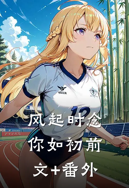风起时念你如初前文+番外