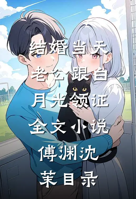 结婚当天老公跟白月光领证全文小说傅渊沈茉目录