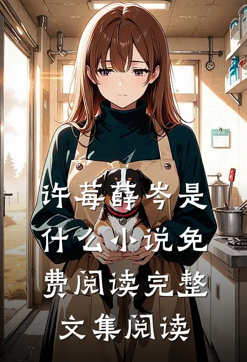 许莓薛岑是什么小说免费阅读完整文集阅读