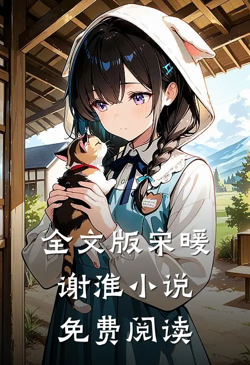 全文版宋暖谢淮小说免费阅读