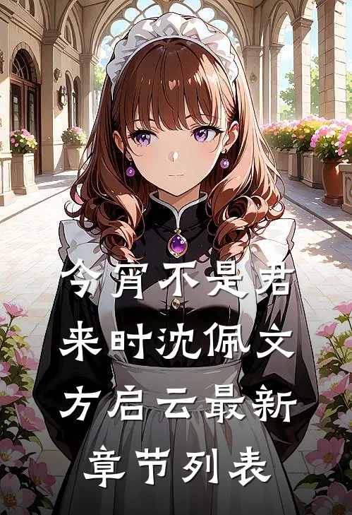 今宵不是君来时沈佩文方启云最新章节列表