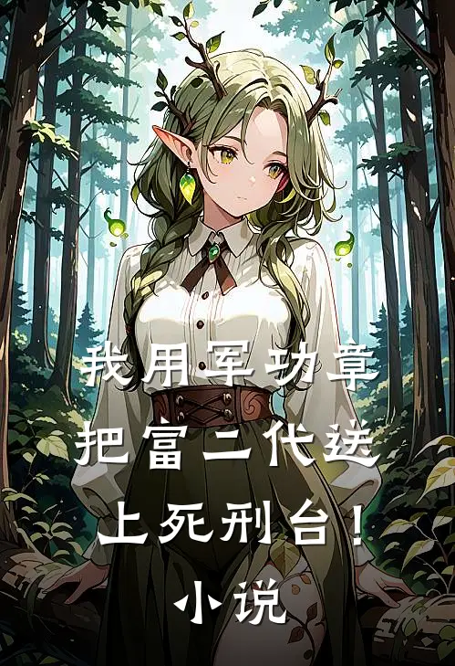 我用军功章把富二代送上死刑台！小说