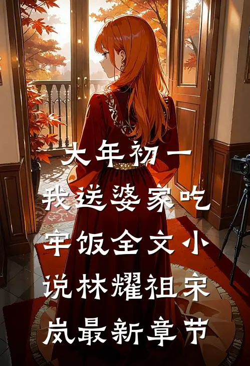 大年初一，我送婆家吃牢饭全文小说林耀祖宋岚最新章节