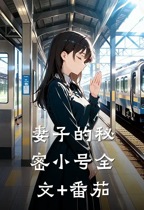 妻子的秘密小号全文+番茄