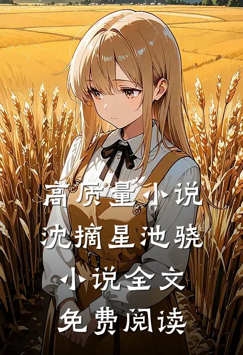 高质量小说沈摘星池骁小说全文免费阅读