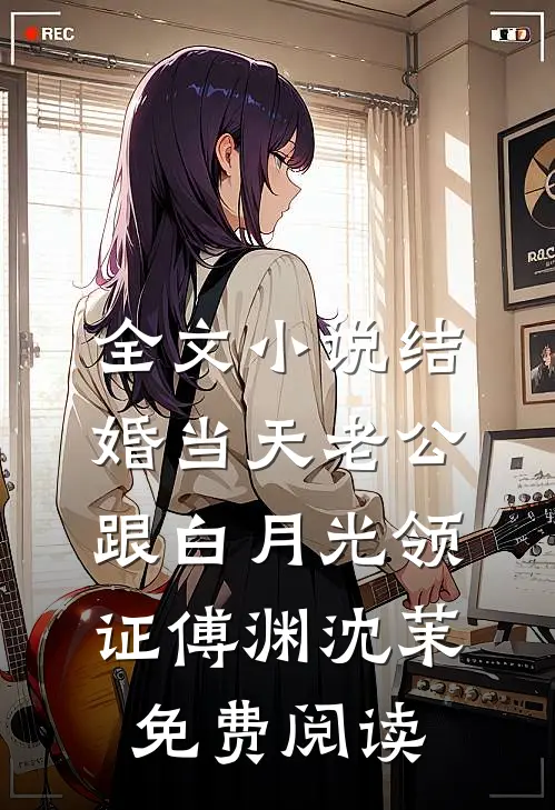 全文小说结婚当天老公跟白月光领证傅渊沈茉免费阅读