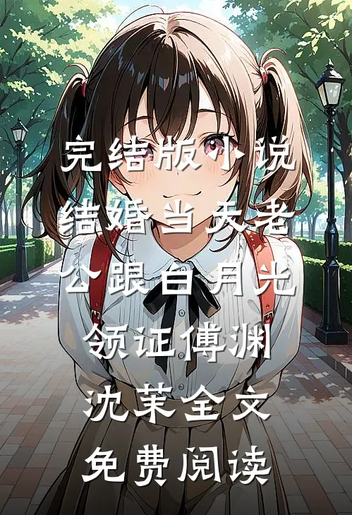 完结版小说结婚当天老公跟白月光领证傅渊沈茉全文免费阅读
