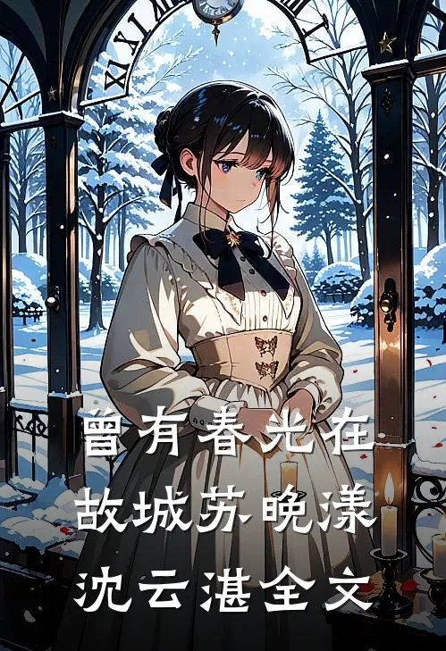 曾有春光在故城苏晚漾沈云湛全文