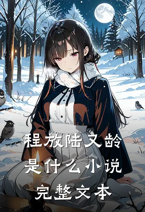 程放陆又龄是什么小说完整文本