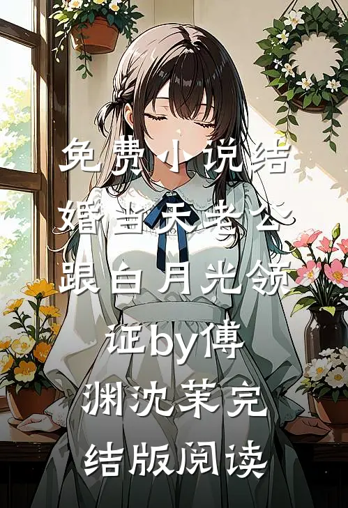 免费小说结婚当天老公跟白月光领证by傅渊沈茉完结版阅读