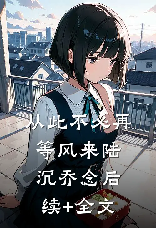 从此不必再等风来陆沉乔念后续+全文