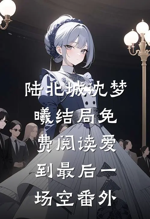 陆北城沈梦曦结局免费阅读爱到最后一场空番外