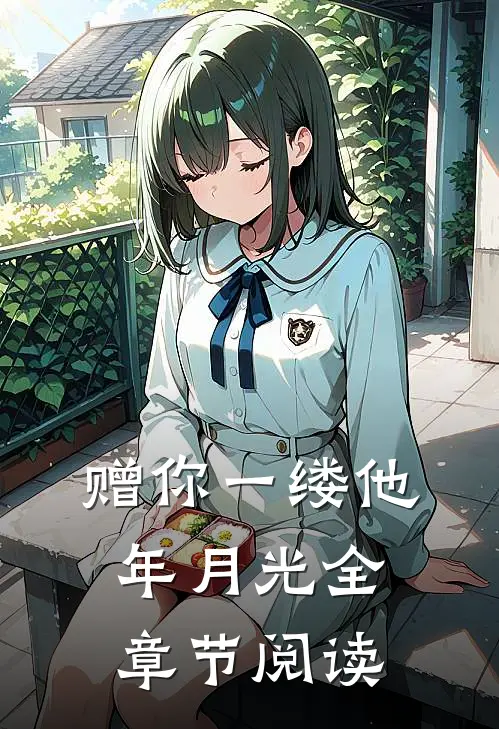 赠你一缕他年月光全章节阅读