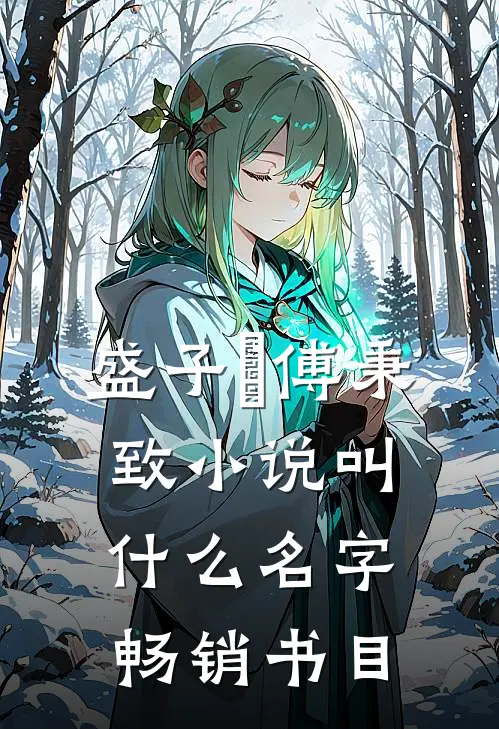 盛子婳傅秉致小说叫什么名字畅销书目